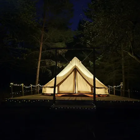 Whispering Pines * Altsorgefeld