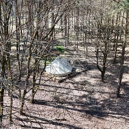 Whispering Pines Altsorgefeld