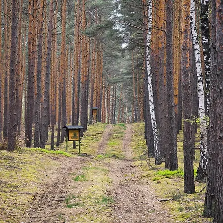 Lüks kamp alanı Whispering Pines Altsorgefeld