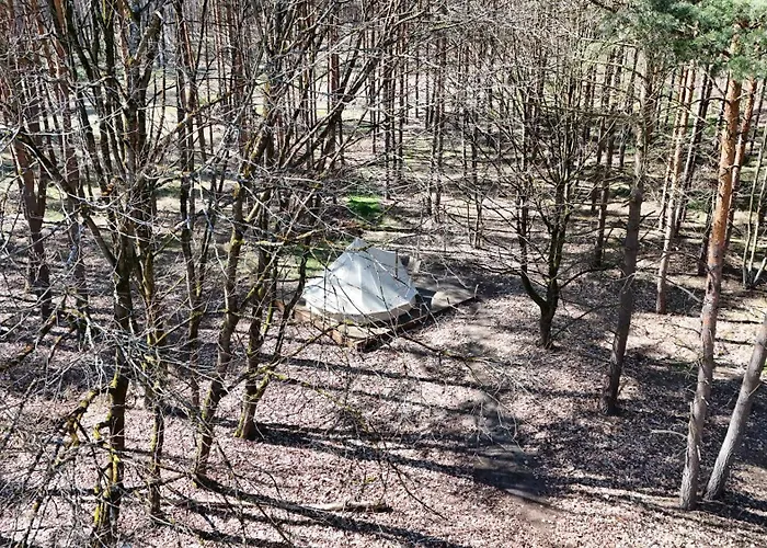 Whispering Pines Altsorgefeld