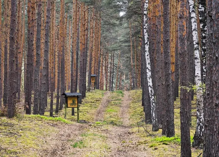 ラグジュアリーテント Whispering Pines Altsorgefeld